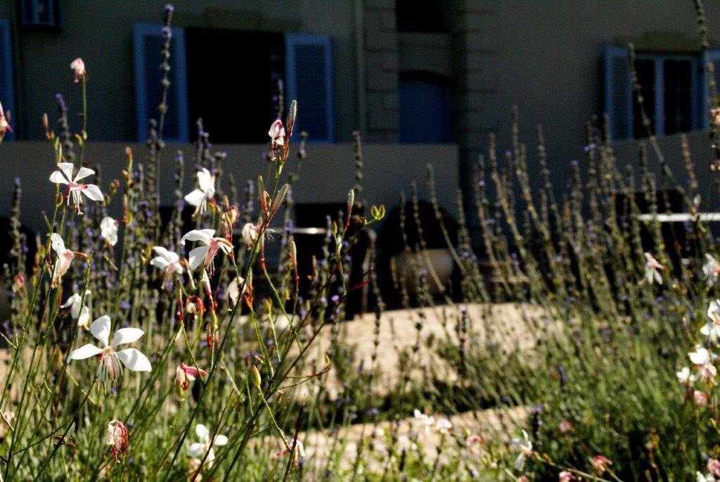 La Cabriere Country House Franschhoek Exterior foto